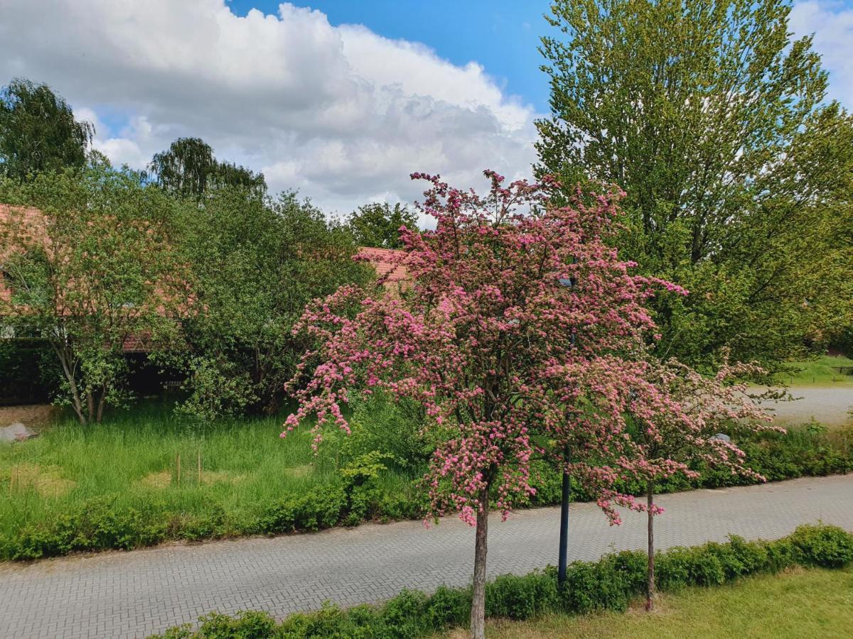 Ferienhaus Hase Villa Burg im Spreewald Eksteriør billede