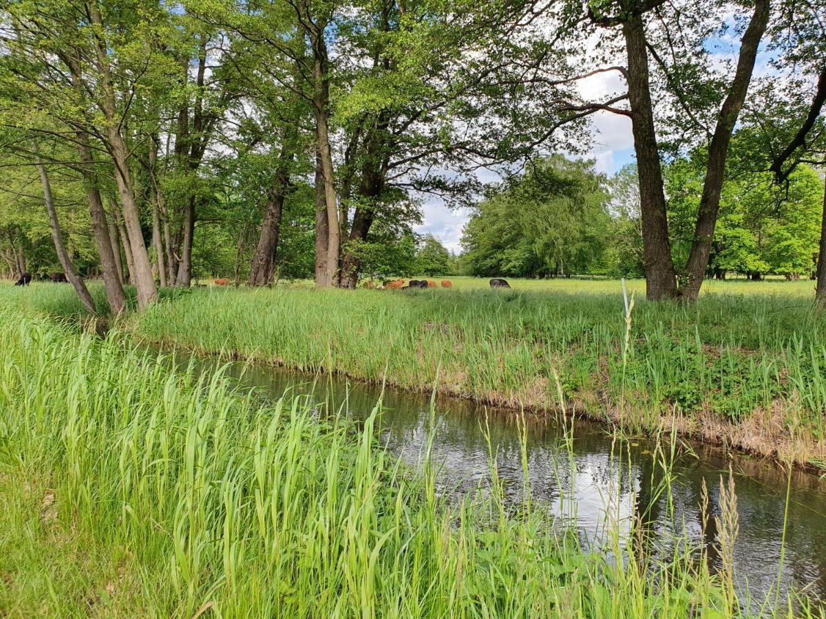 Ferienhaus Hase Villa Burg im Spreewald Eksteriør billede